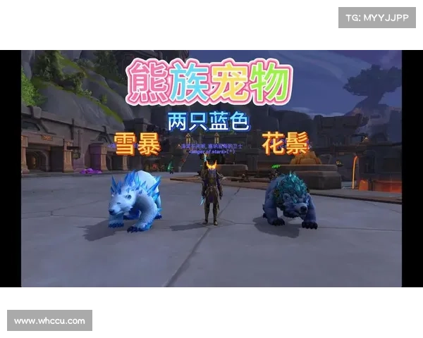 魔兽世界宠物伤害：如何实现最高设置中心